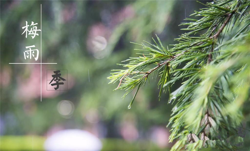 雨季到來，涂料施工需注意哪些問題